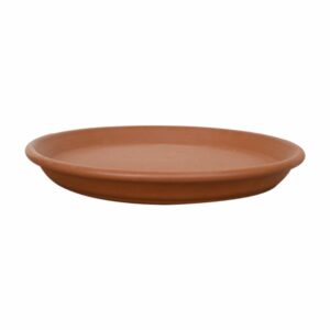 Plato De Estándar 23 Morena Pura MESTIZA Unidad