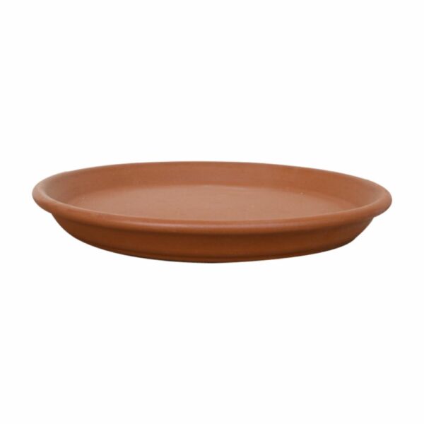 Plato De Estándar 23 Morena Pura MESTIZA Unidad