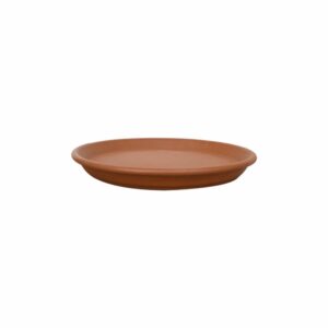 Plato De Estándar 23 Morena Pura MESTIZA Unidad