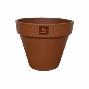 Maceta De Estándar 37 Morena Pura MESTIZA Unidad