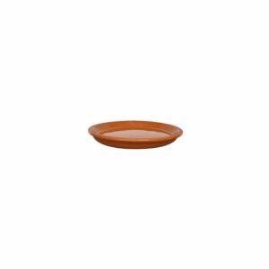 Plato De Estándar 30 Morena Pura MESTIZA Unidad
