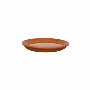 Plato De Estándar 30 Morena Pura MESTIZA Unidad