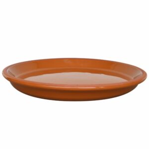 Plato Alfarero Color Pura Miel MESTIZA 29 Cm