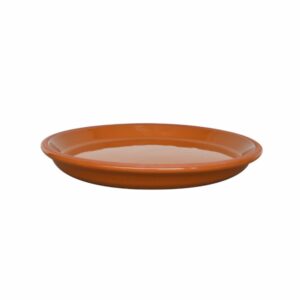 Plato Alfarero Color Pura Miel MESTIZA 22 Cm