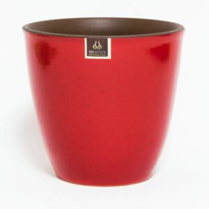Maceta De Zafiro 17 Morena Rojo MESTIZA Unidad
