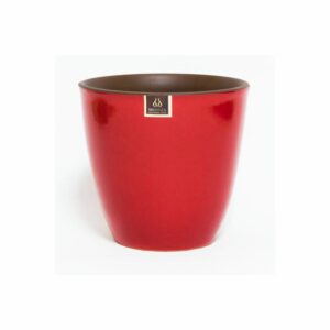 Maceta De Zafiro 17 Morena Rojo MESTIZA Unidad
