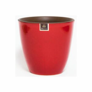 Maceta De Zafiro 24 Morena Rojo MESTIZA Unidad