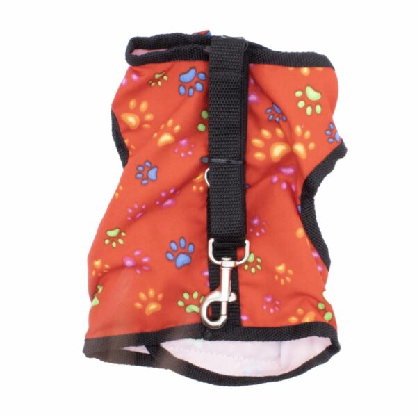 Pechera Para Mascota Diseño Animado PINKYS PET Talla 4 - Imagen 2