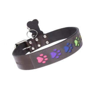 Collar Para Mascota De Cuero Patitas Arcoíris Medium TOSCANO 50Cm