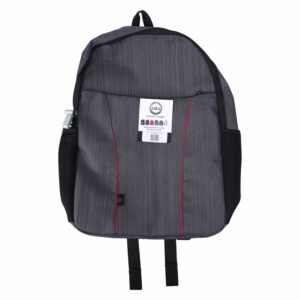 Mochila Strong Básica Laptop C SMART BAGS Gris