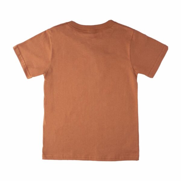 Conjunto Camiseta Manga Corta Y Bermuda Marrón MUNDI - Imagen 3