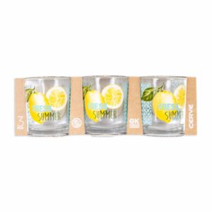 Vaso Agua Fresh Summer Setx3 CERVE 220 cc