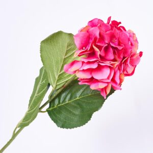 Hortensia 73 X 15 Cm FREE HOME Fucsia