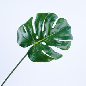 Hoja Balazo FREE HOME Verde