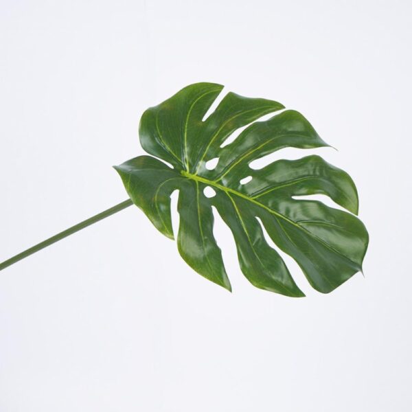 Hoja Balazo FREE HOME Verde - Imagen 2