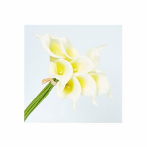 Cartucho Miniatura FREE HOME Amarillo