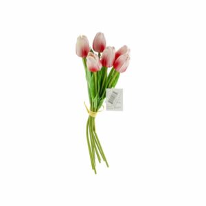 Tulipán Miniatura FREE HOME Fucsia