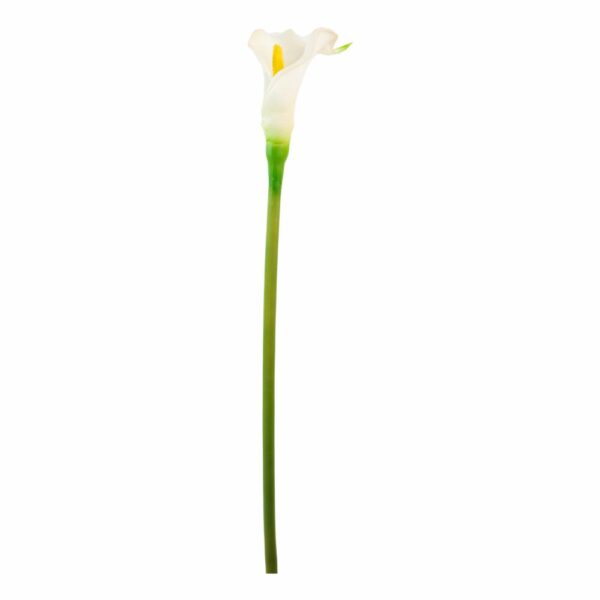 Cartucho Blanco FREE HOME Blanco