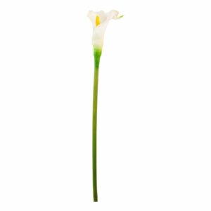 Cartucho Blanco FREE HOME Blanco