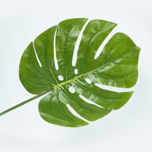 Hoja Balazo FREE HOME Verde