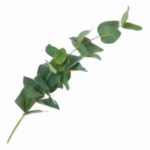 Follaje Hojas FREE HOME Verde