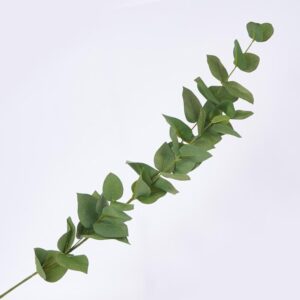 Follaje Hojas FREE HOME Verde