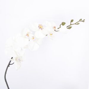 Orquídea Decorativa FREE HOME Blanco