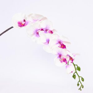 Orquídea Decorativa FREE HOME Blanco con Lila