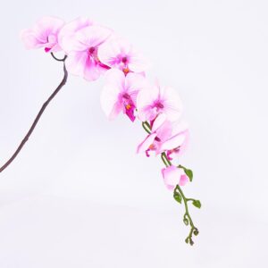 Orquídea Decorativa FREE HOME Lila