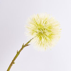 Flor Redonda Palitos FREE HOME Blanco con Verde