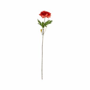 Flor Monuda FREE HOME Rojo