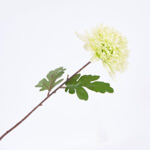 Flor Monuda FREE HOME Blanco