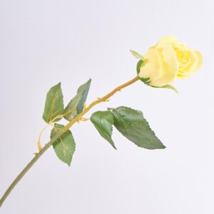 Rosa Solitaria FREE HOME Amarillo