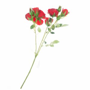 Ramillete Rosas FREE HOME Rojo