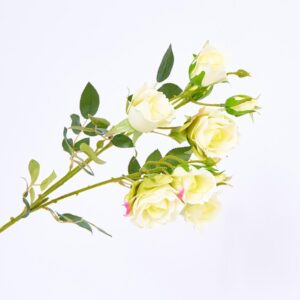 Ramillete Rosas FREE HOME Blanco