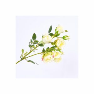 Ramillete Rosas FREE HOME Blanco