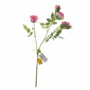 Ramillete Rosas FREE HOME Rosado