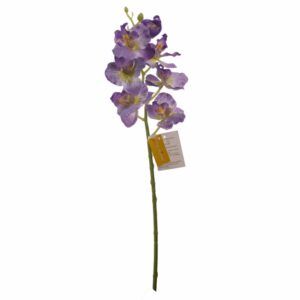 Orquídea Pequeña FREE HOME Lila