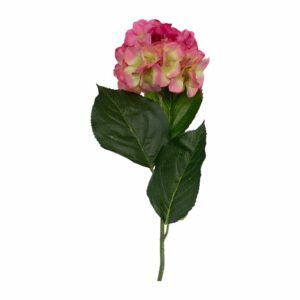 Hortensia 73 X 15 Cm FREE HOME Rosa Con Verde