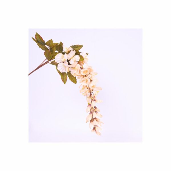Delfinium 100 Cm FREE HOME Crema
