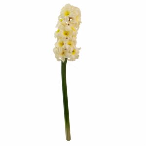 Ramillete Bala FREE HOME Blanco