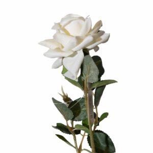 Rosa Decorativa Mini Blanca FREE HOME 31X7 Cm