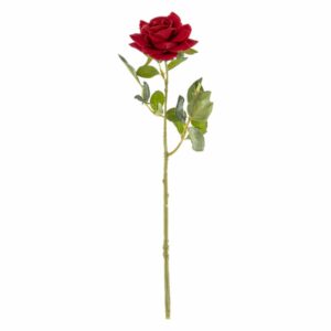 Mini Rosa Rojo FREE HOME 31 X 7Cm