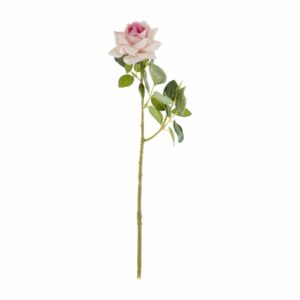 Mini Rosa Rosado FREE HOME 31 X 7Cm