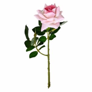 Mini Rosa Rosado FREE HOME 31 X 7Cm