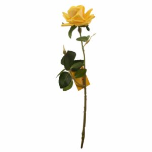 Mini Rosa Amarilla FREE HOME 31X7Cm