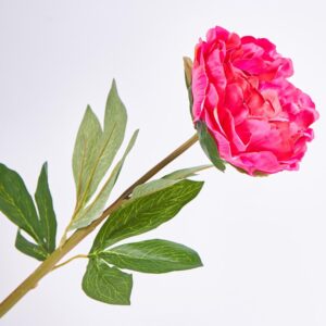 Clavel 67 Cm FREE HOME Rosado