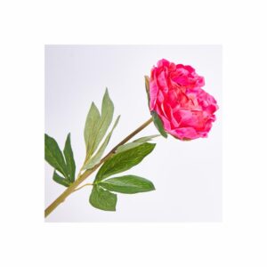 Clavel 67 Cm FREE HOME Rosado