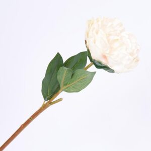 Clavel 67 Cm FREE HOME Blanco