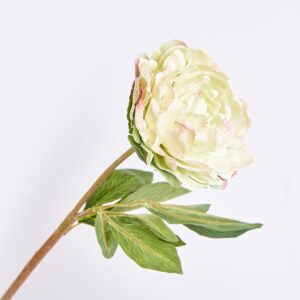 Clavel 67 Cm FREE HOME Verde